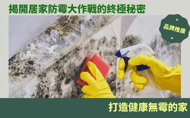 揭開居家防霉大作戰的終極秘密：打造健康無霉的家