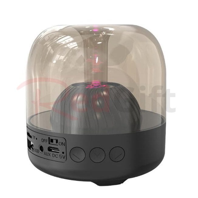22979_speaker_1